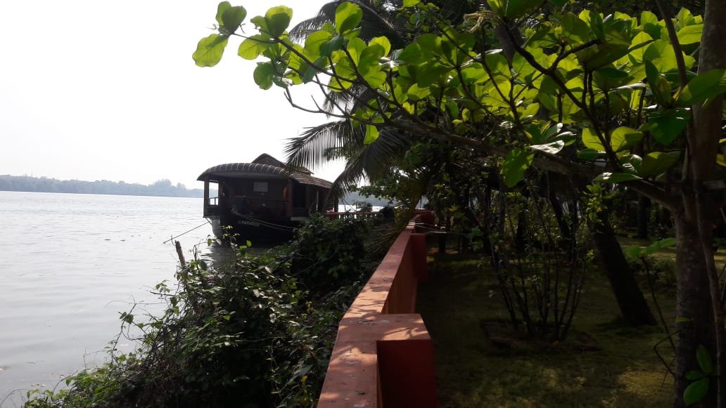 Paradise Lagoon主图