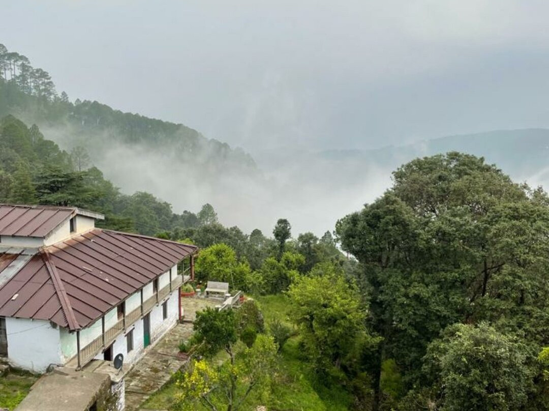 The Valley View By BOHO