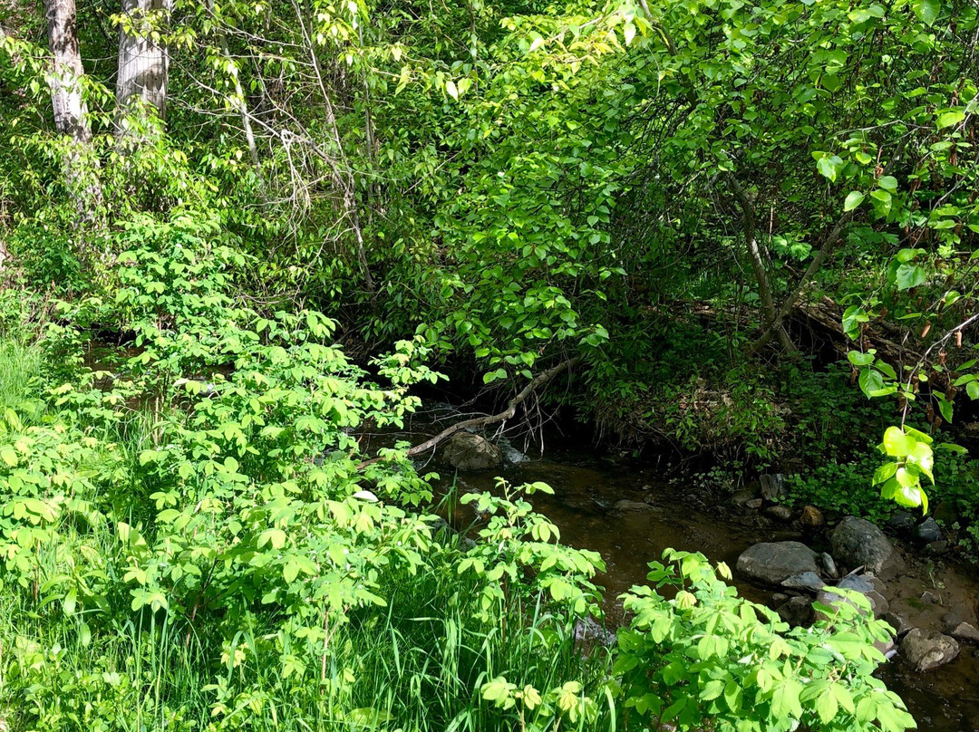 Peterson Creek Park-坎卢普斯必去景点