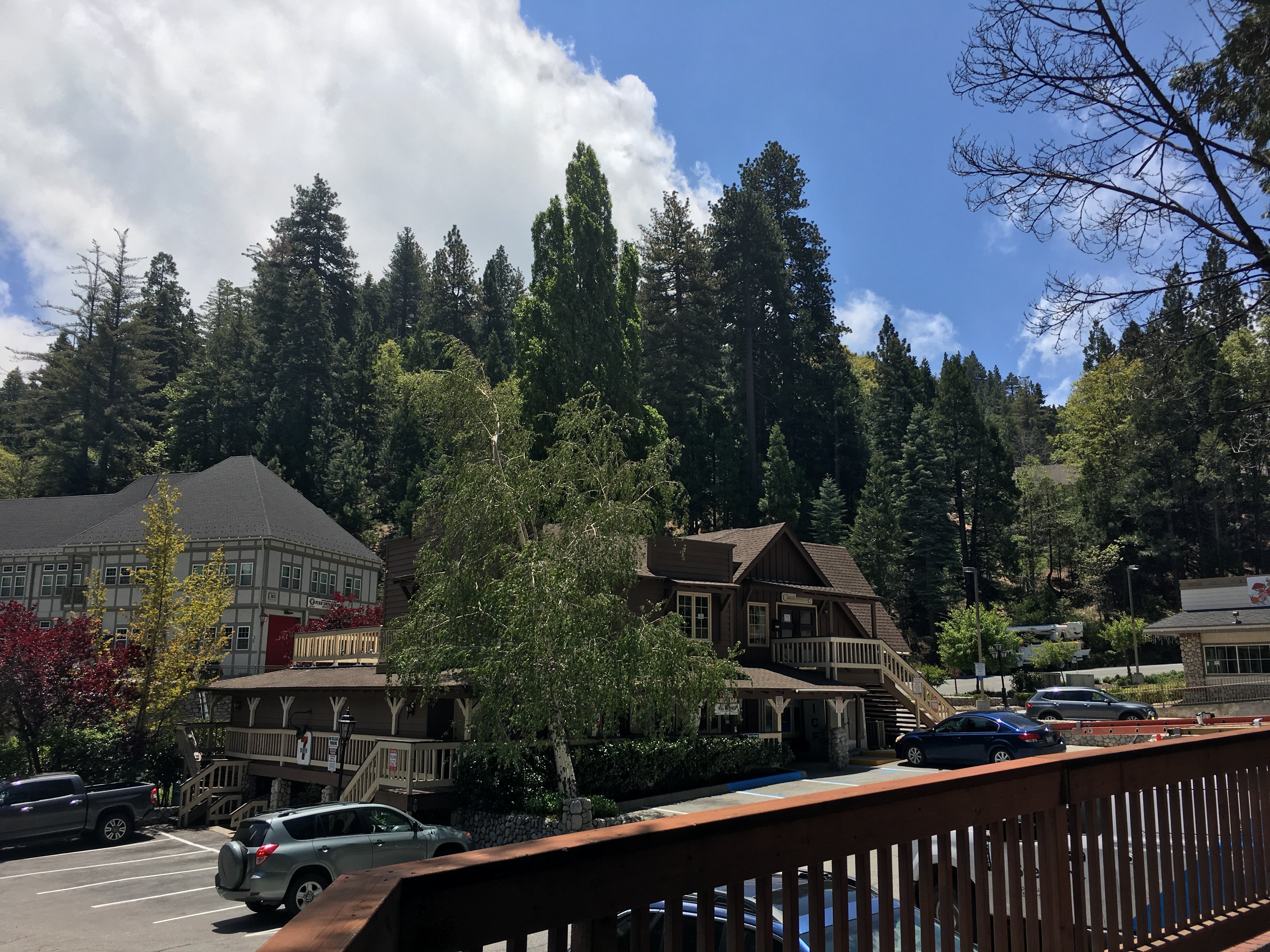 Saddleback Inn-酒店景观