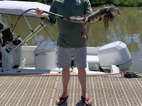 Puerto Rico Freedivers and Spearfishing Charters-圣胡安必去景点