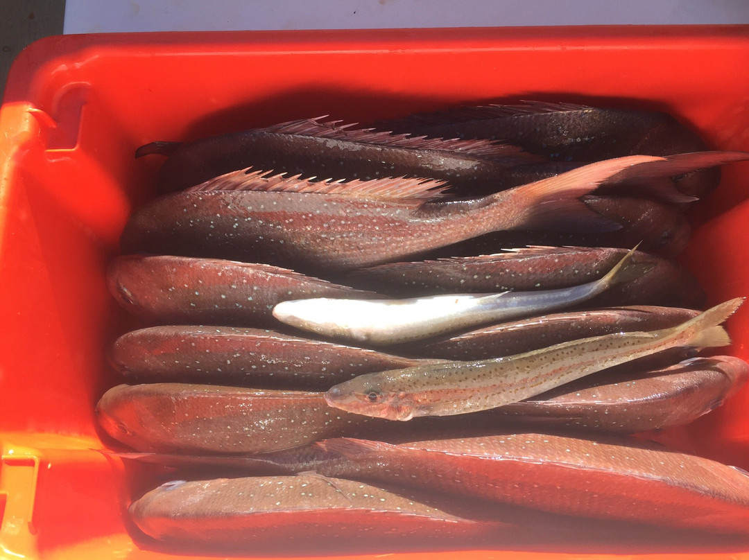 Double Header Fishing Charters-Port Broughton必去景点