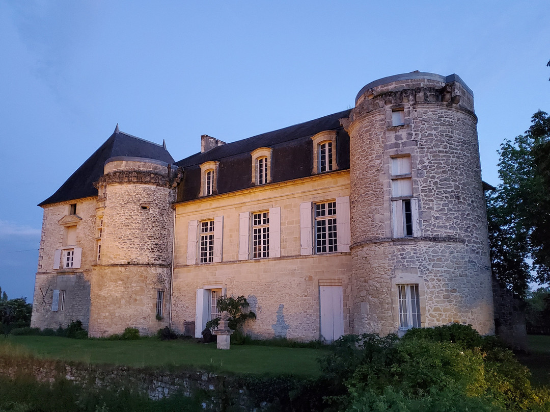 Chateau de Lescours景点图片