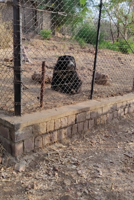 Van Vihar National Park景点图片