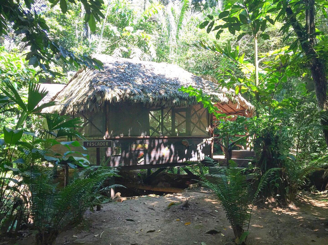 Max Jungle-Rurrenabaque必去景点