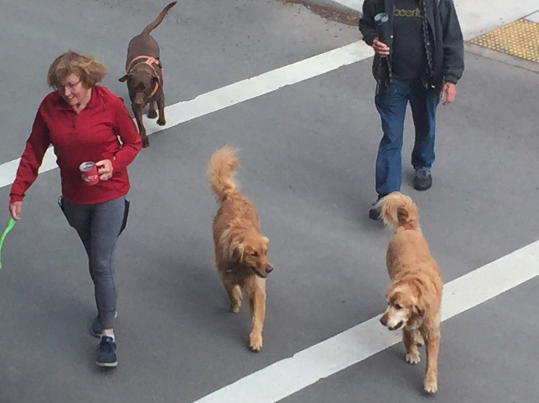 Hampton Inn & Suites Hood River主图