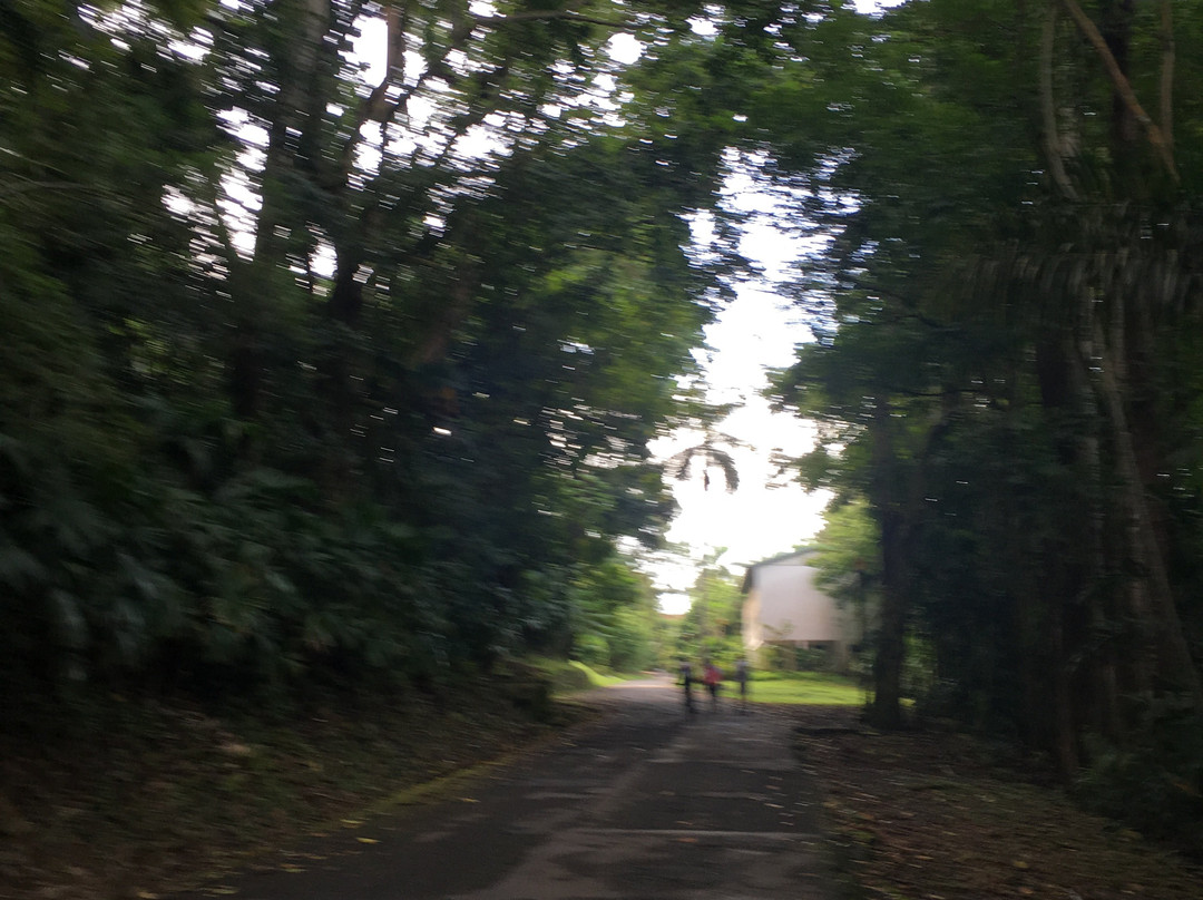 Ancon Hill-巴拿马城必去景点