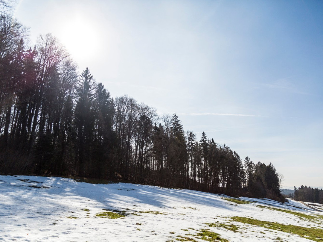 Felsenegg-Stallikon必去景点