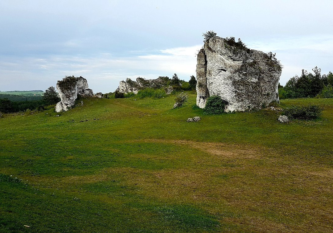 Ruiny Zamku Mirow景点图片