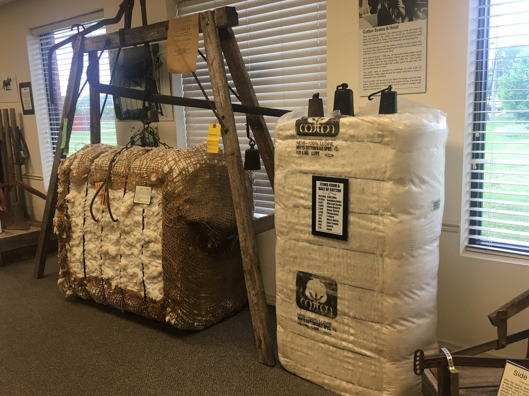 Tina Turner Museum  @ Flagg Grove School-Brownsville必去景点