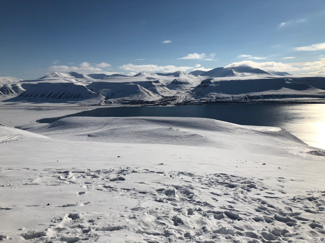 Hurtigruten Svalbard景点图片