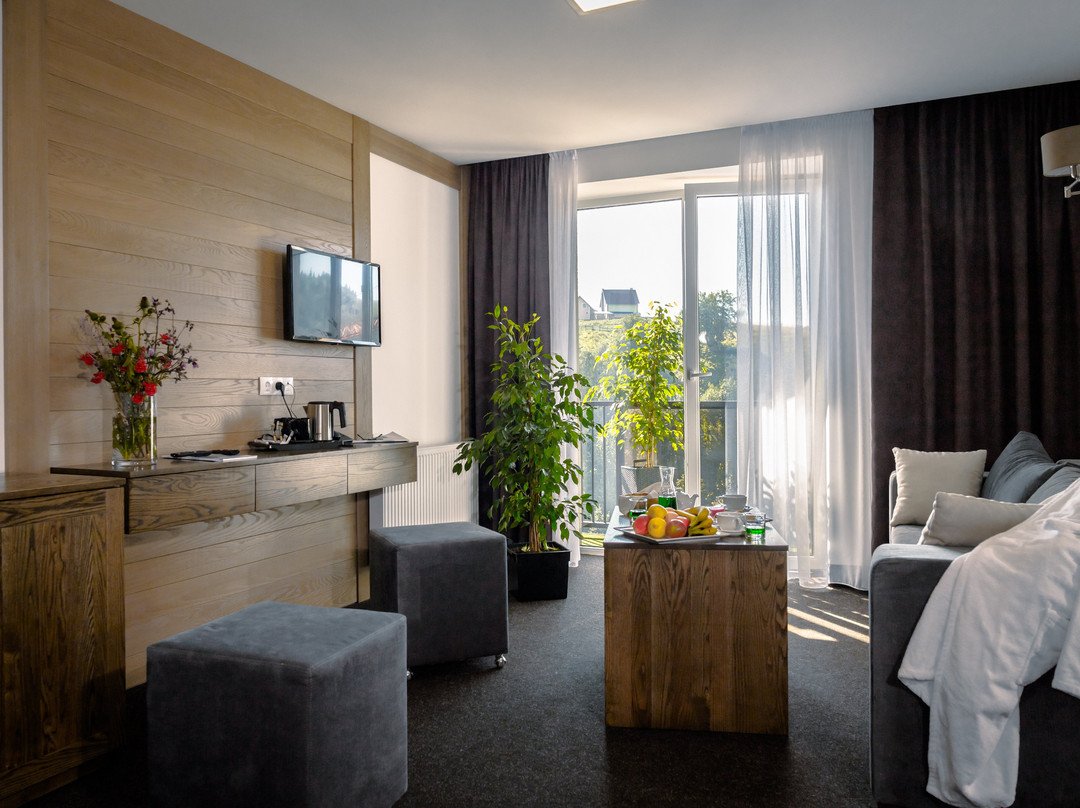 Vilson Hotel主图