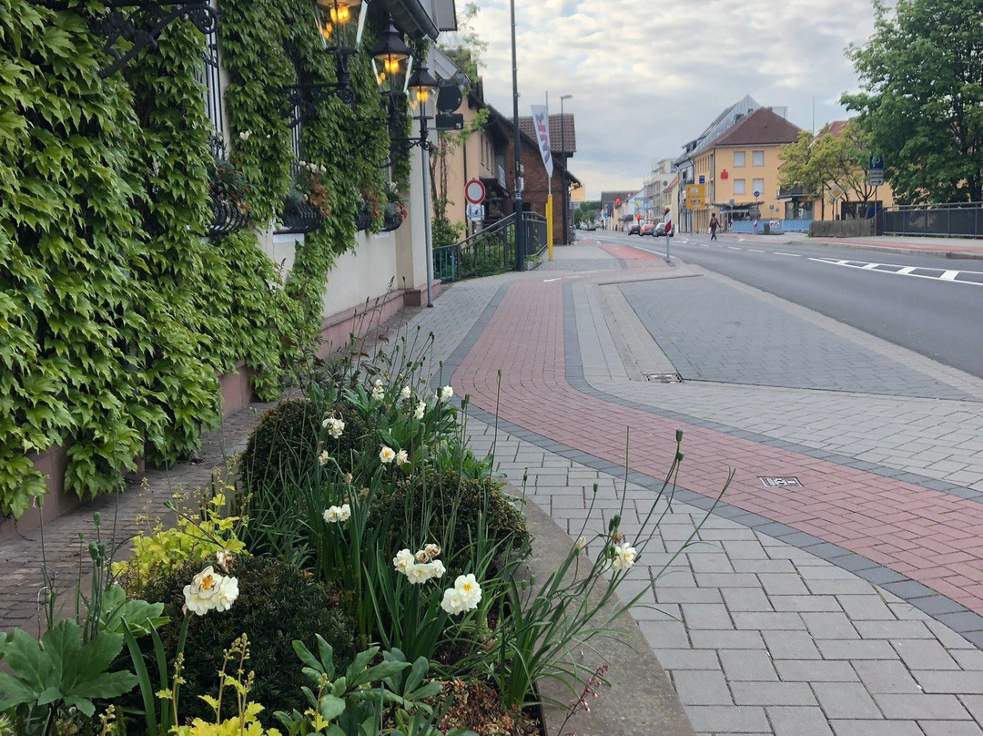 Zeller-Hotel+Restaurant主图