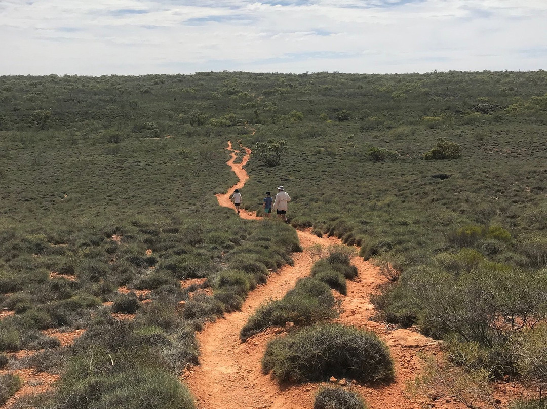 Thomas Carter Lookout Walk-埃克斯茅斯必去景点