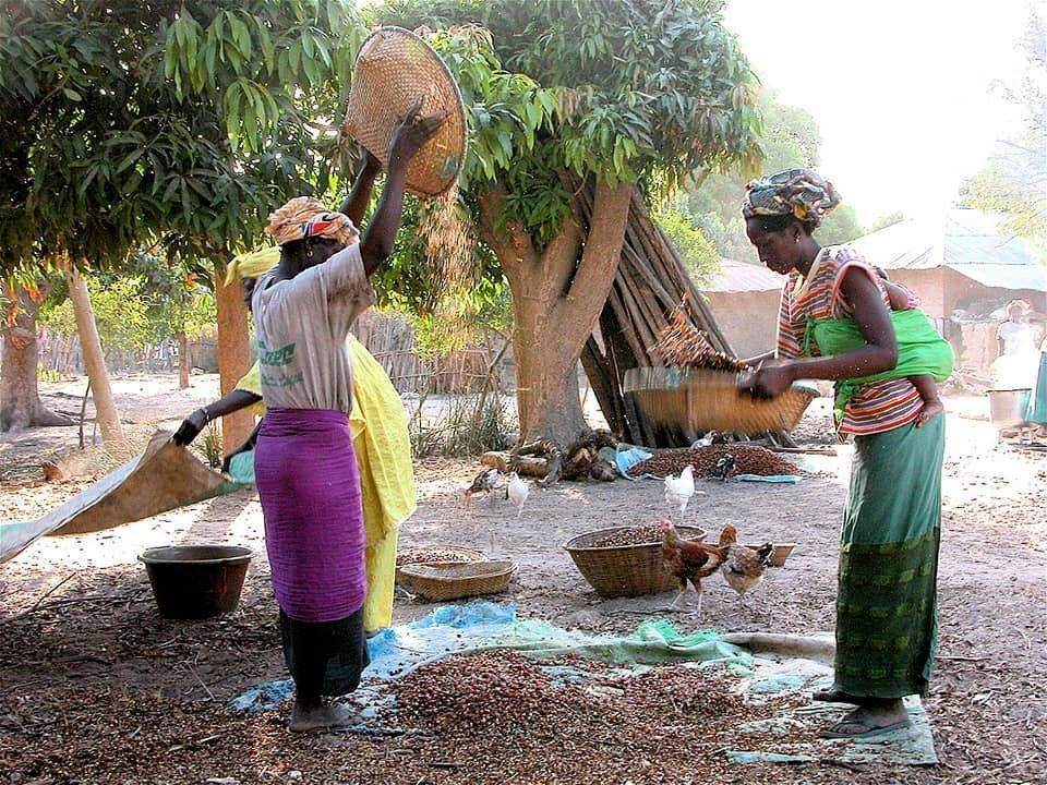 Casamance Circuits Et Excursions景点图片