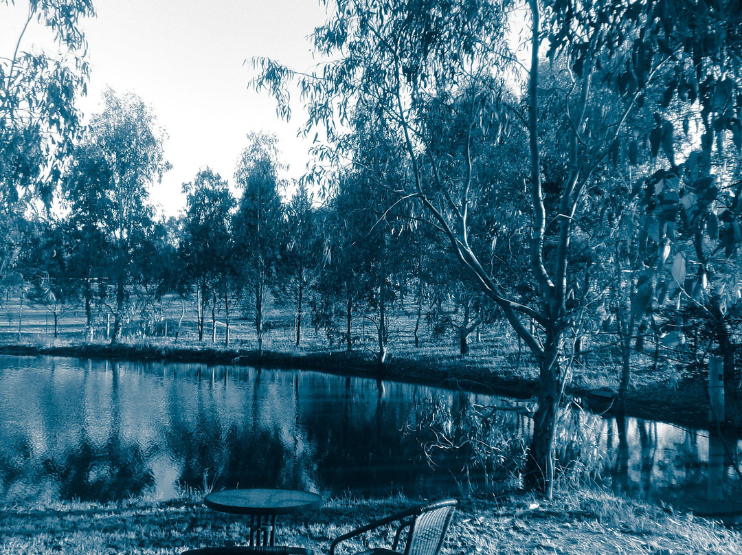 Holistic Soulscape-比奇沃思必去景点