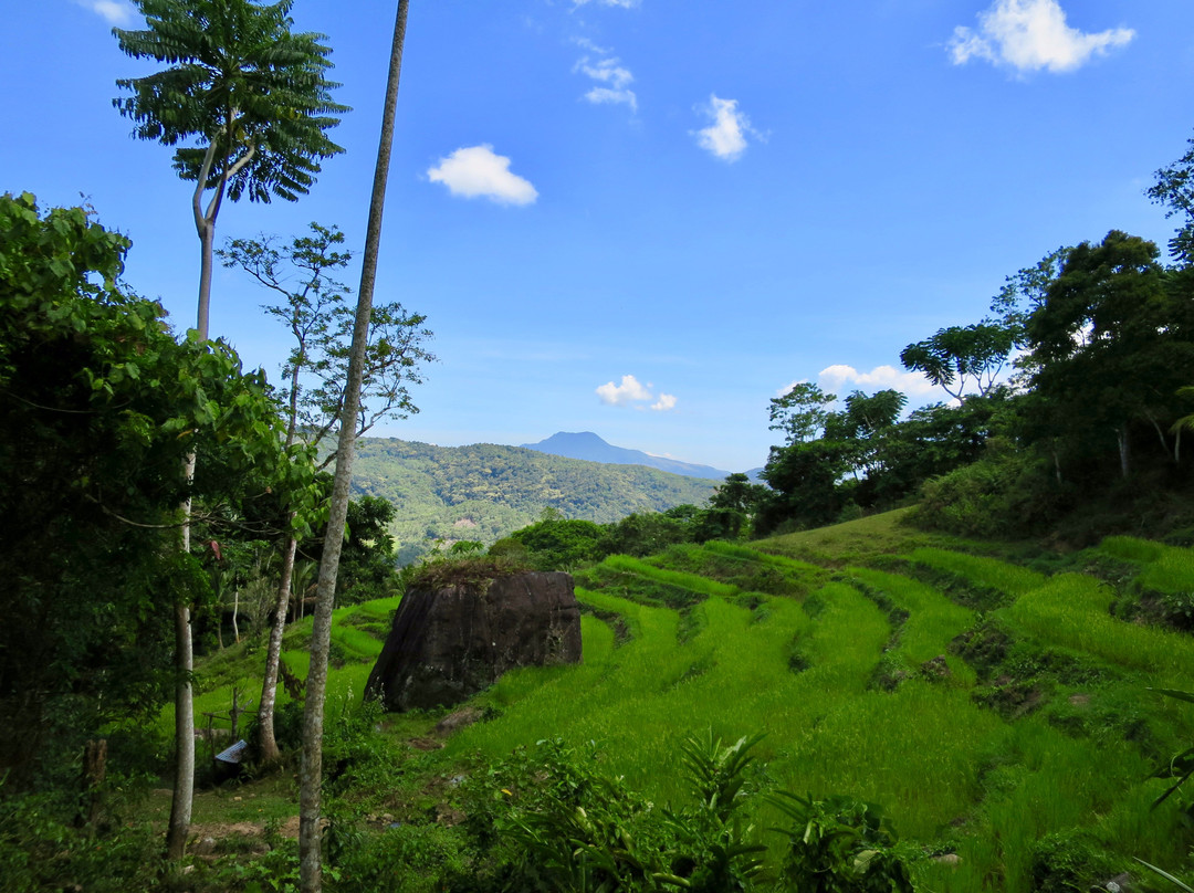Marinduque Wildlife Sanctuary-Marinduque Island必去景点