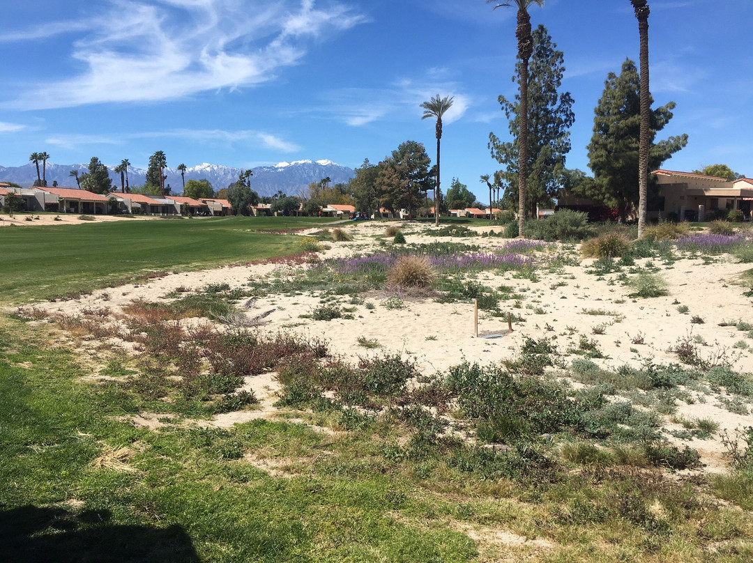 Palm Desert Country Club-棕榈沙漠必去景点