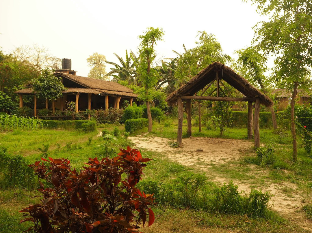 Bardia Jungle Resort