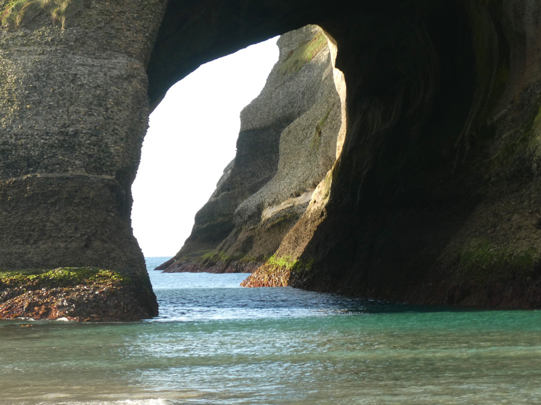 New Zealand I Drive-莫图伊卡必去景点