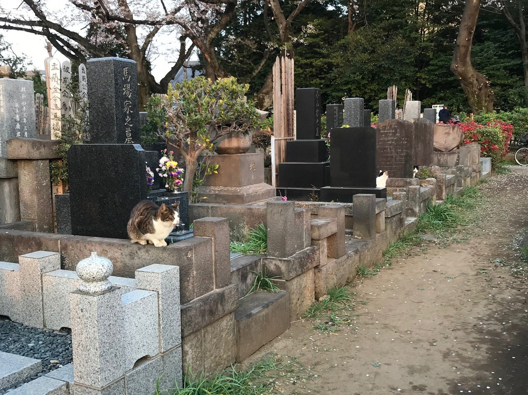 Somei Graveyard-Komagome必去景点
