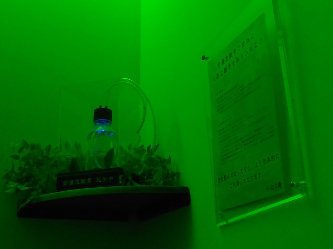 横滨港湾未来万叶俱乐部主图