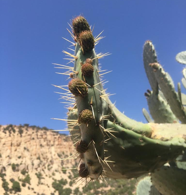 Tawada Hiking-奥瑞尔必去景点