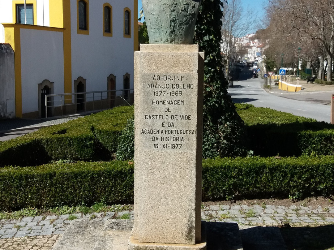 Busto do Dr.Jose Pereira Flores景点图片