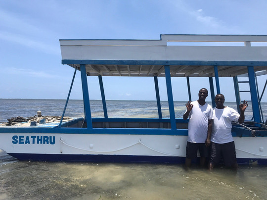 Baracuda Diving-蒙巴萨必去景点
