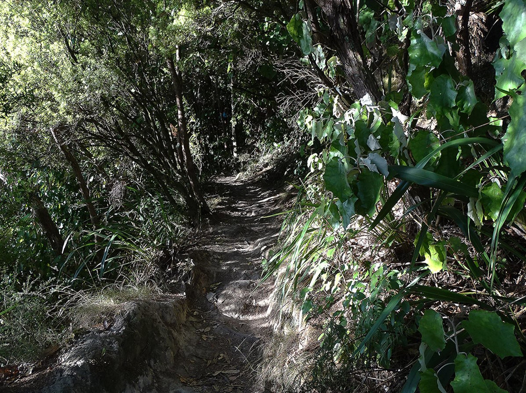 Mount Te Aroha景点图片