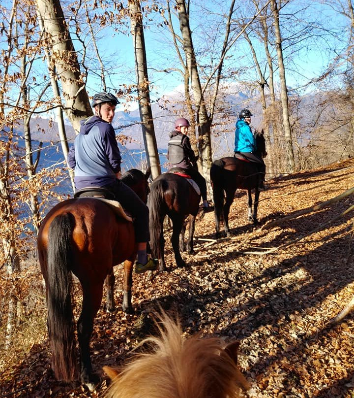 Horse Riding Club Ranch Pelance景点图片