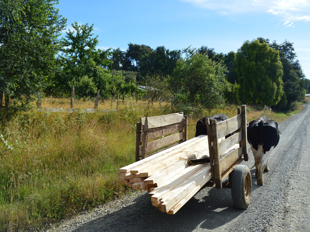 Kalkin Expediciones-巴拉斯港必去景点