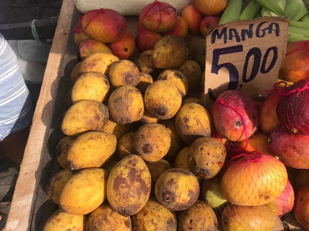 Mercado Ver-o-Peso-贝伦必去景点