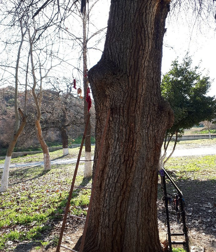 Monastery of Agiou Nikolaou-Vounena必去景点