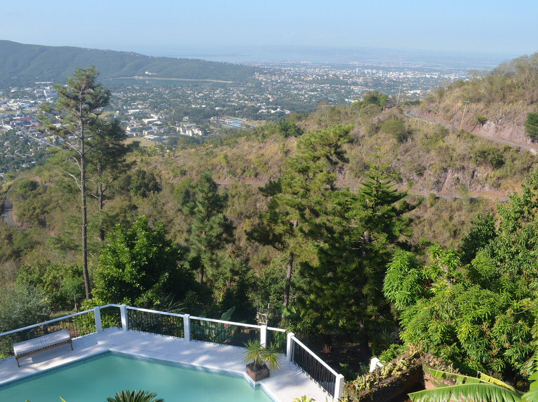 Tranquility Estate Bed & Breakfast主图