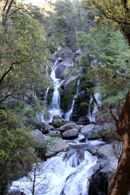 Lewis Creek Trail-菲什营必去景点
