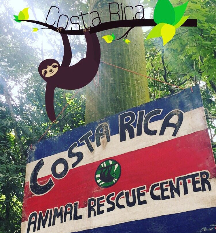 Costa Rica Animal Rescue Center景点图片