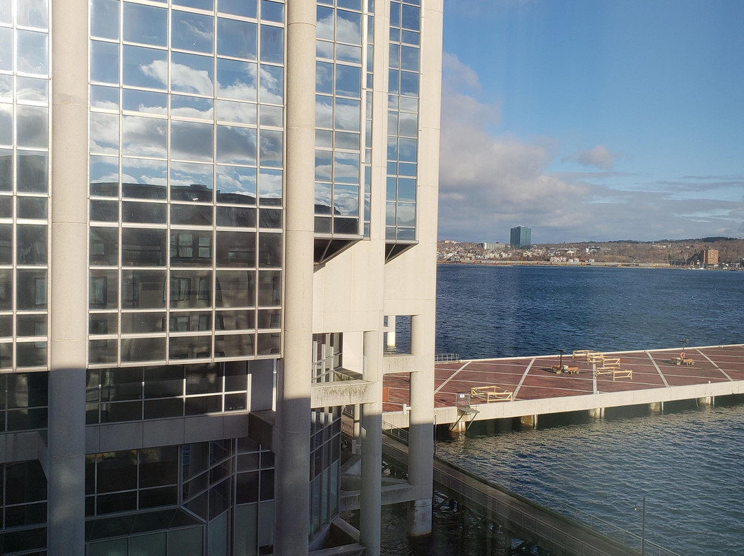 哈利法克斯万豪港湾酒店主图