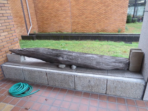 Ono History Museum-大野市必去景点