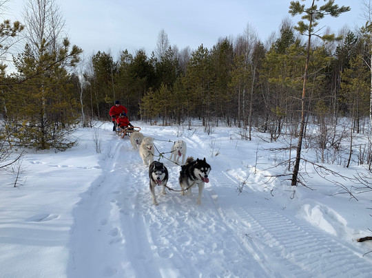 Ekaterinburg Guide Center-叶卡捷琳堡必去景点