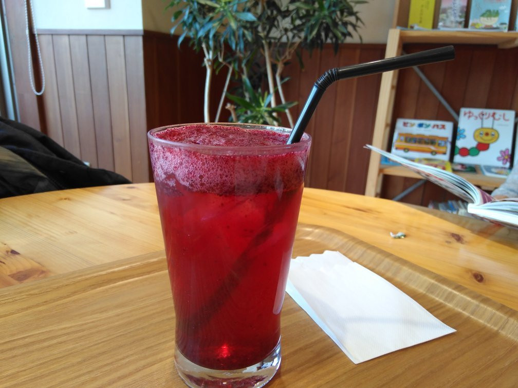 Inabu Onsen Donguri no Yu-丰田市必去景点