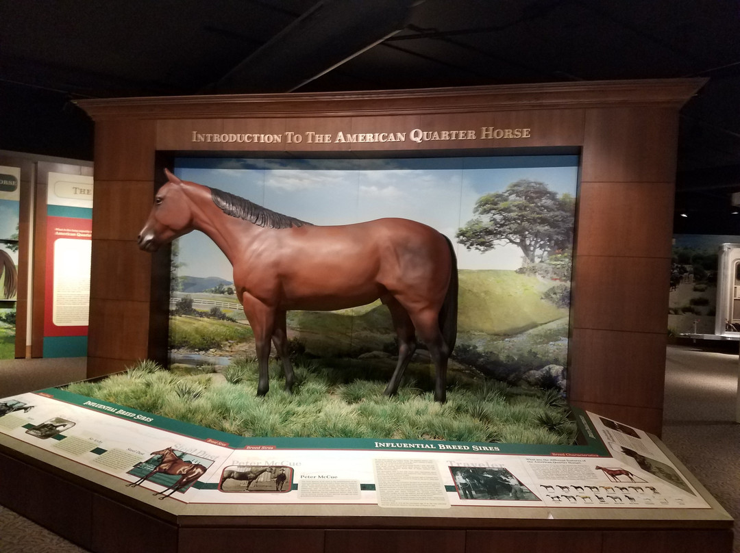 American Quarter Horse Hall of Fame & Museum景点图片
