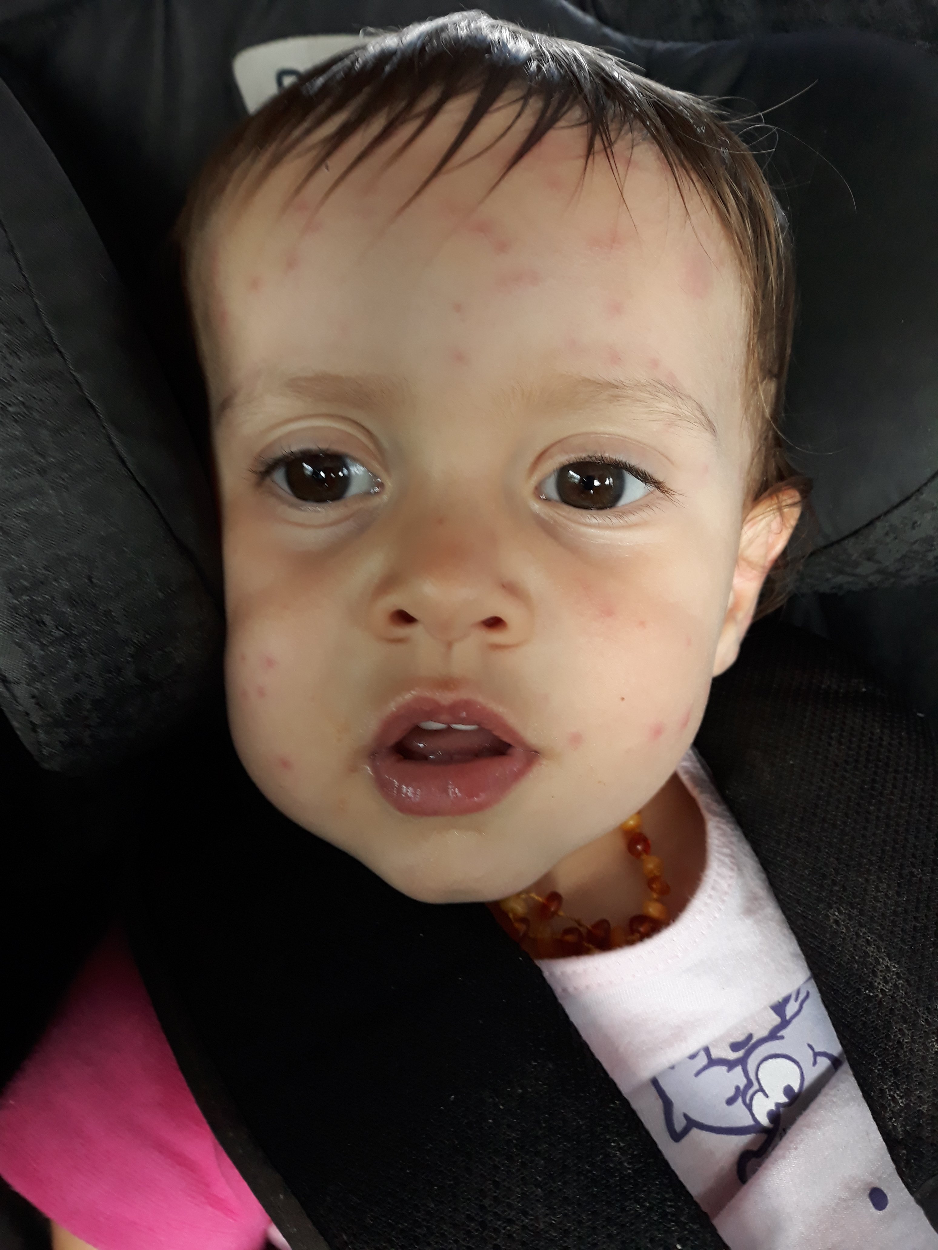 Pousada Nossa Senhora Aparecida-官方