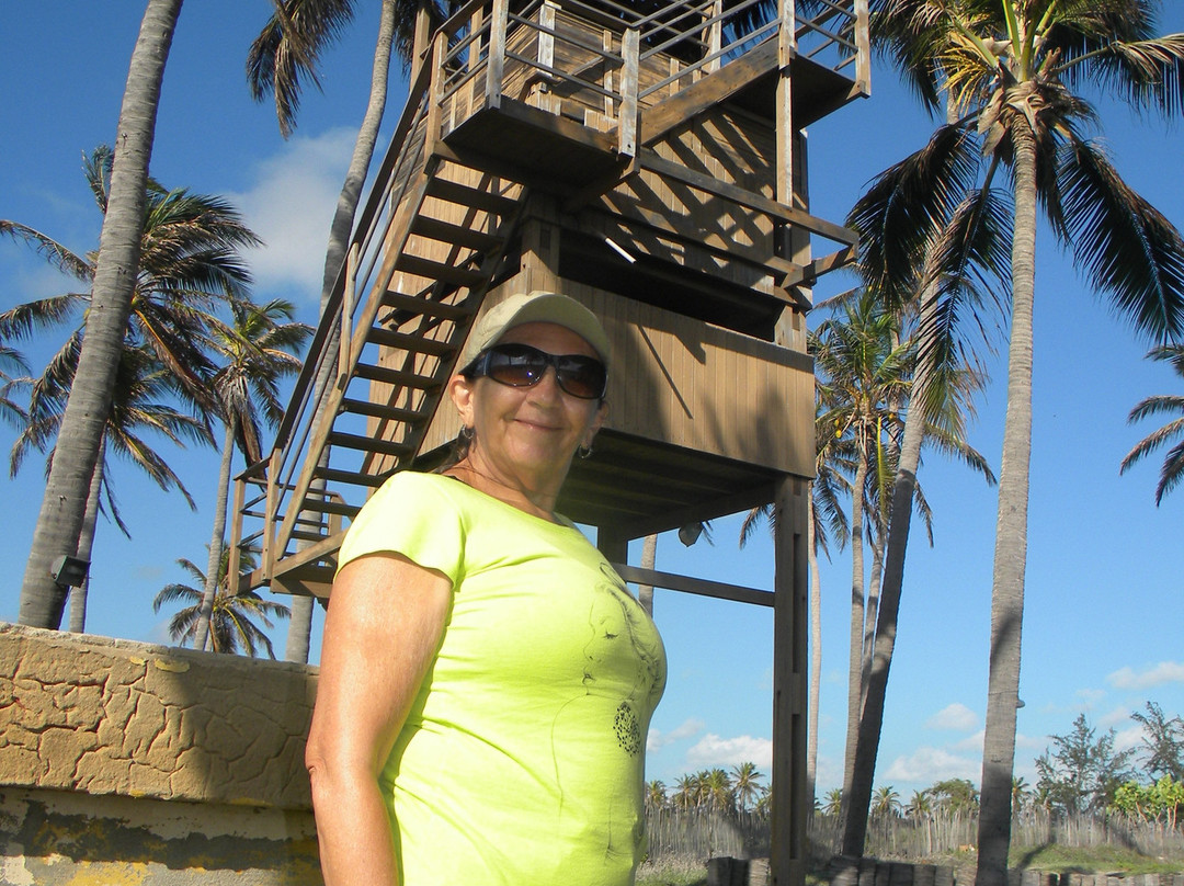 Casa do Mar Hotel主图