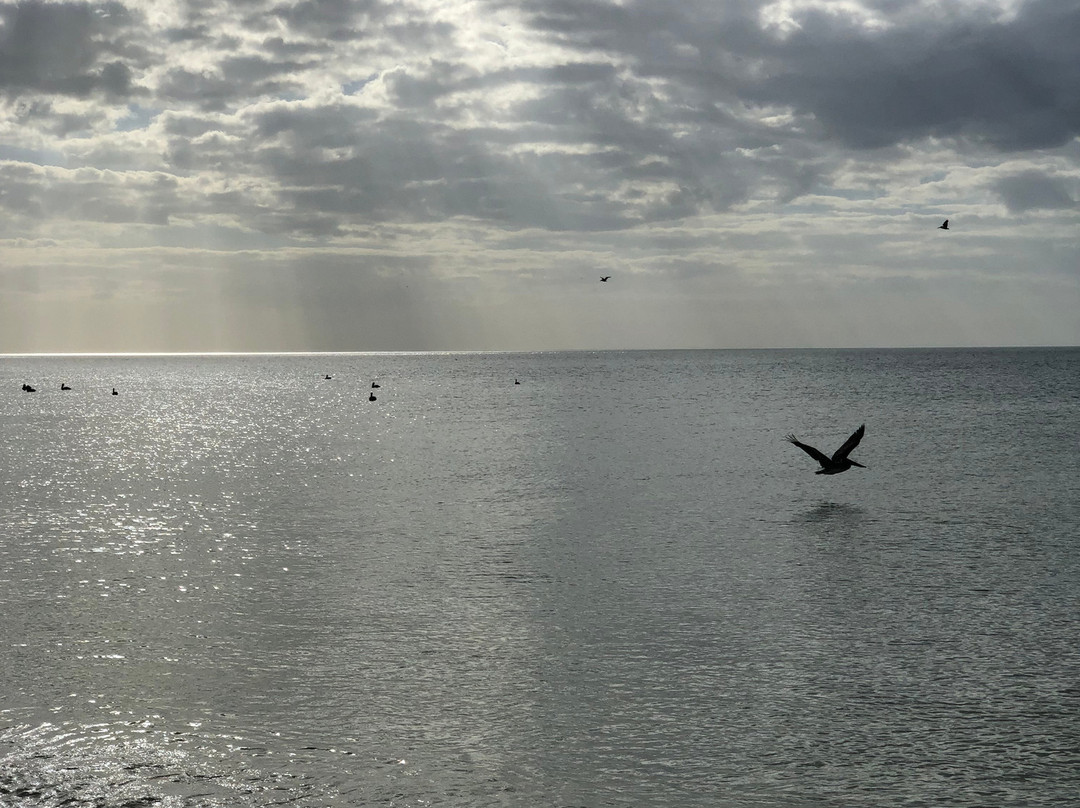 Xixim Mundo Imperial主图