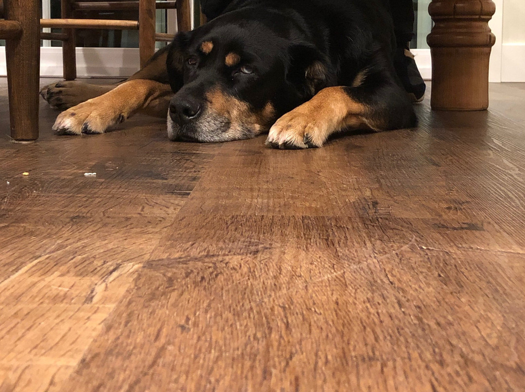 The Inn At Crippen Creek Farm主图