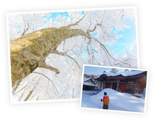 Daisen Tour Desk-大山町必去景点