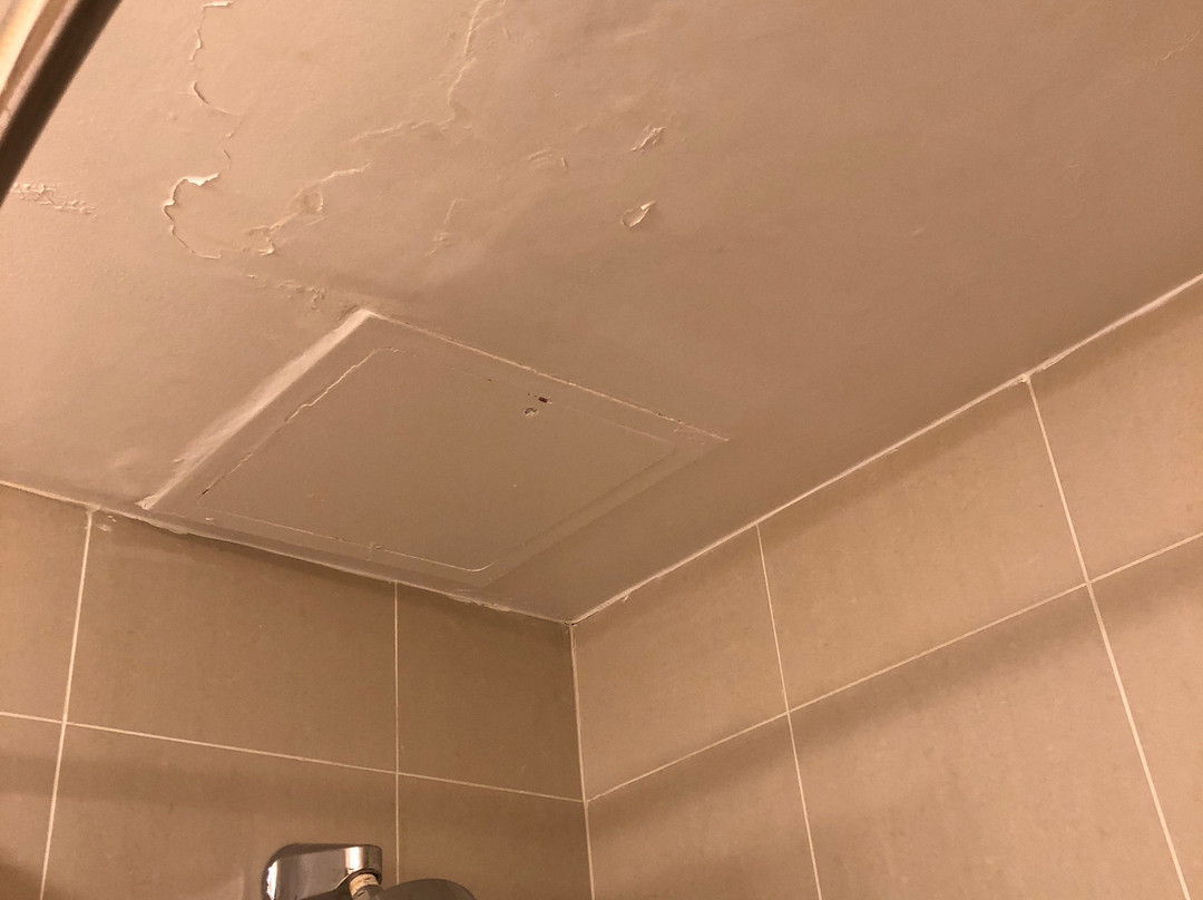 弗雷明汉喜来登酒店主图