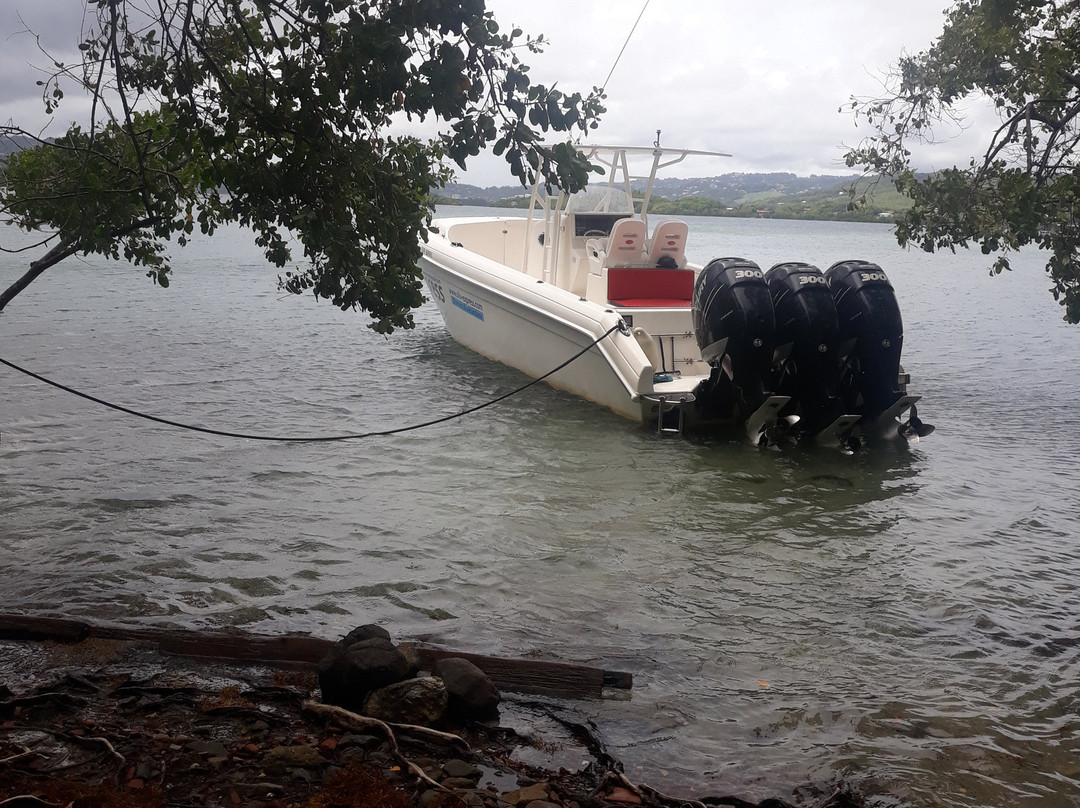 Baignoire De Joséphine Coteauvent.fr-Le Francois必去景点