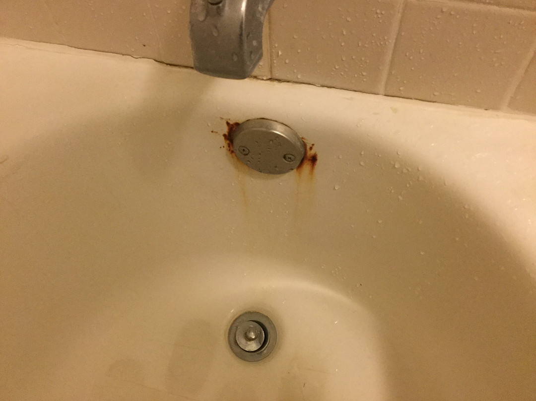 Garden Inn Homestead主图